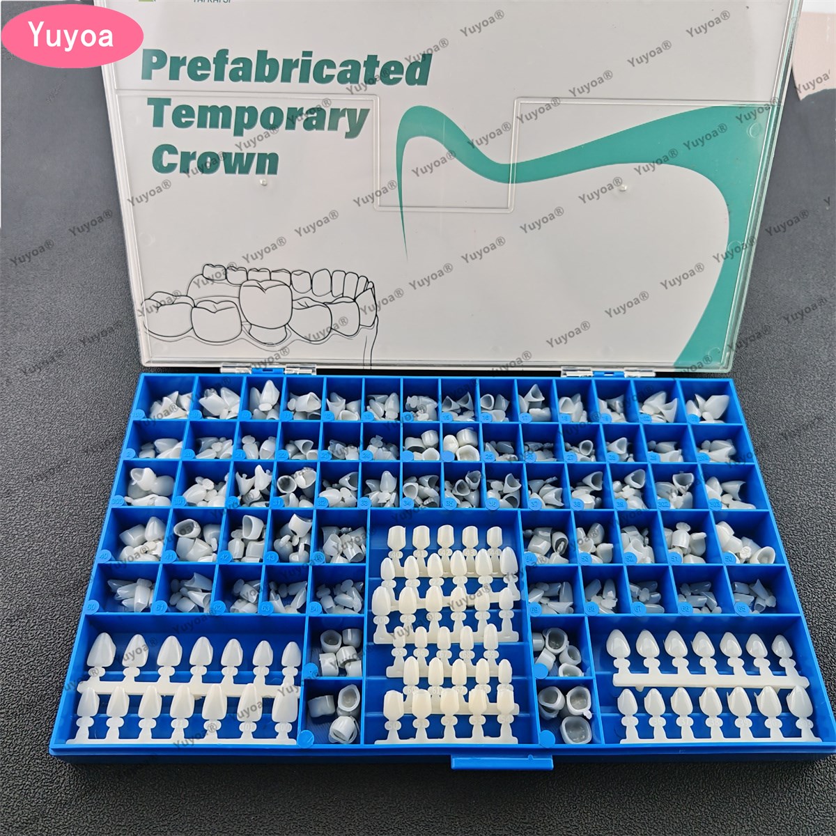 Teeth Whitening Moulds - 1 conjunto de molares dentais pré-olares,