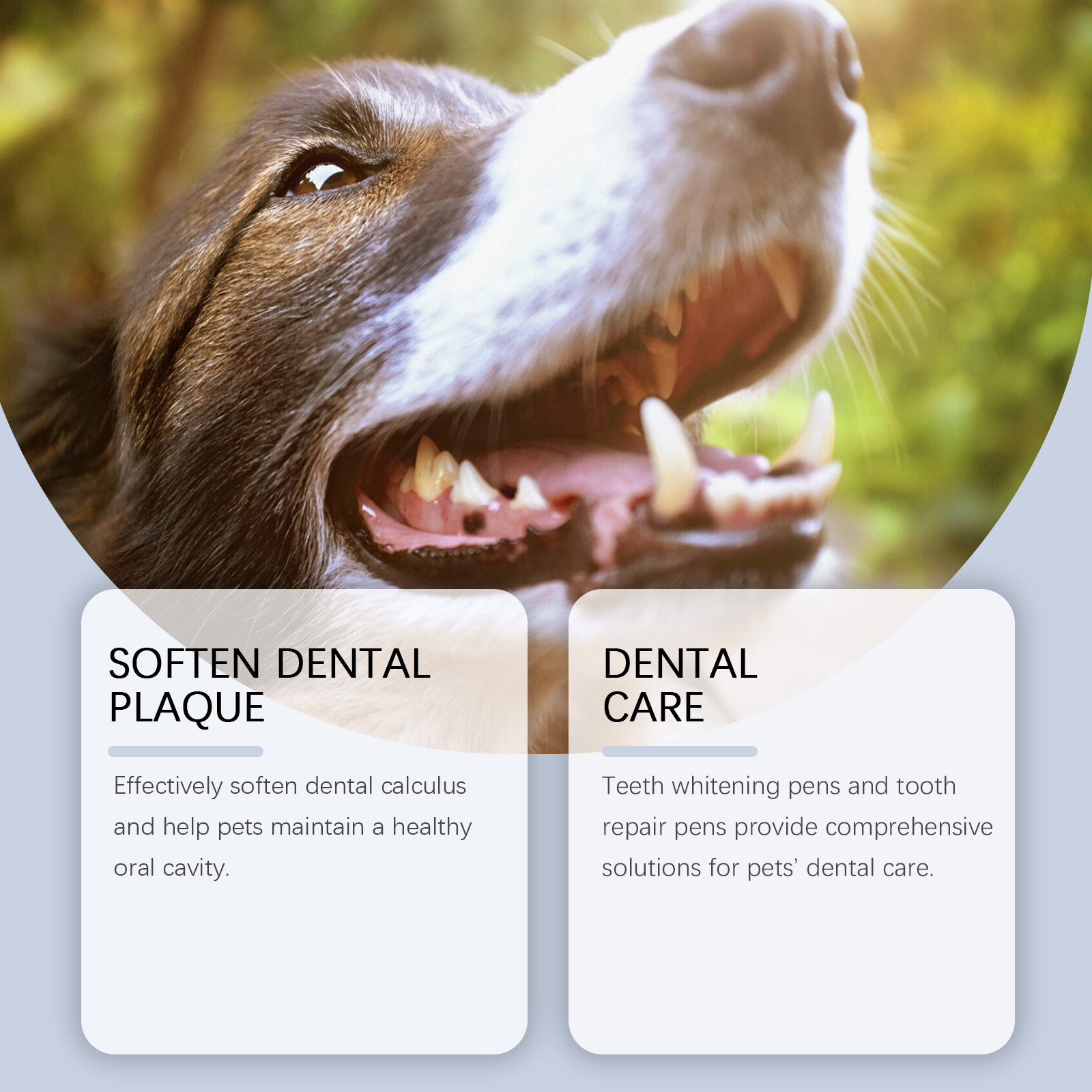 Conjunto de canetas para clare - Teeth Whitening Pens avaliação e preço