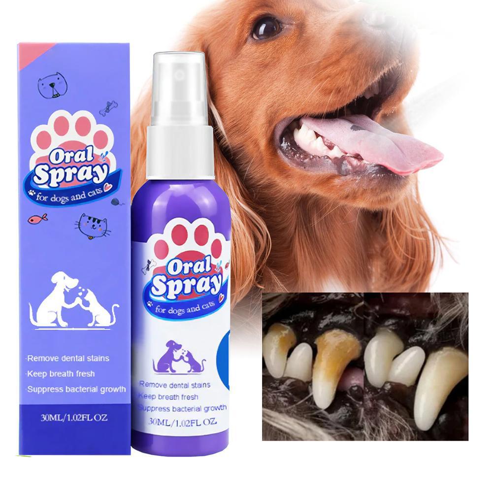 Spray bucal para animais de es - Teeth Whitening Mouthwash avaliação e preço