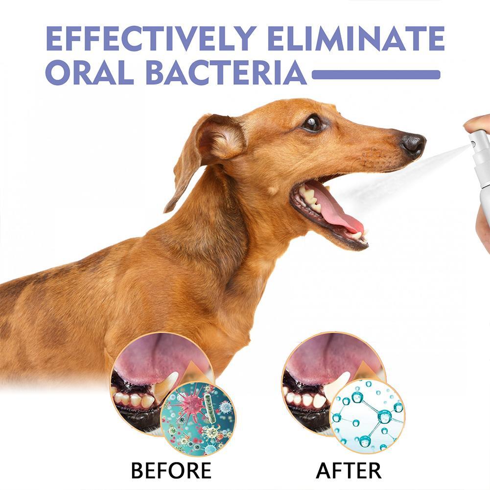 Spray bucal para animais de es - Teeth Whitening Mouthwash avaliação e preço