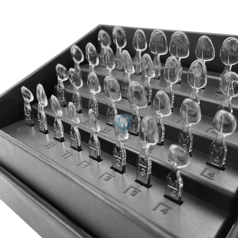 32 pçs/set kit de molde folhea - Teeth Whitening Moulds avaliação e preço